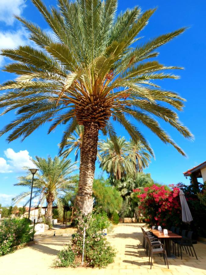 Golden Palms Guest House & Cafe Famagusta  Exterior foto